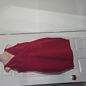 Bodycon Torrid dress